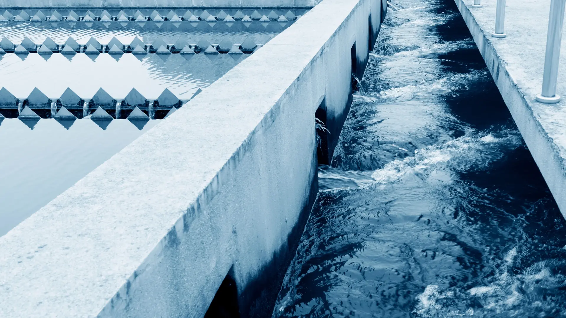 BioTessera Environmental Engineering 3